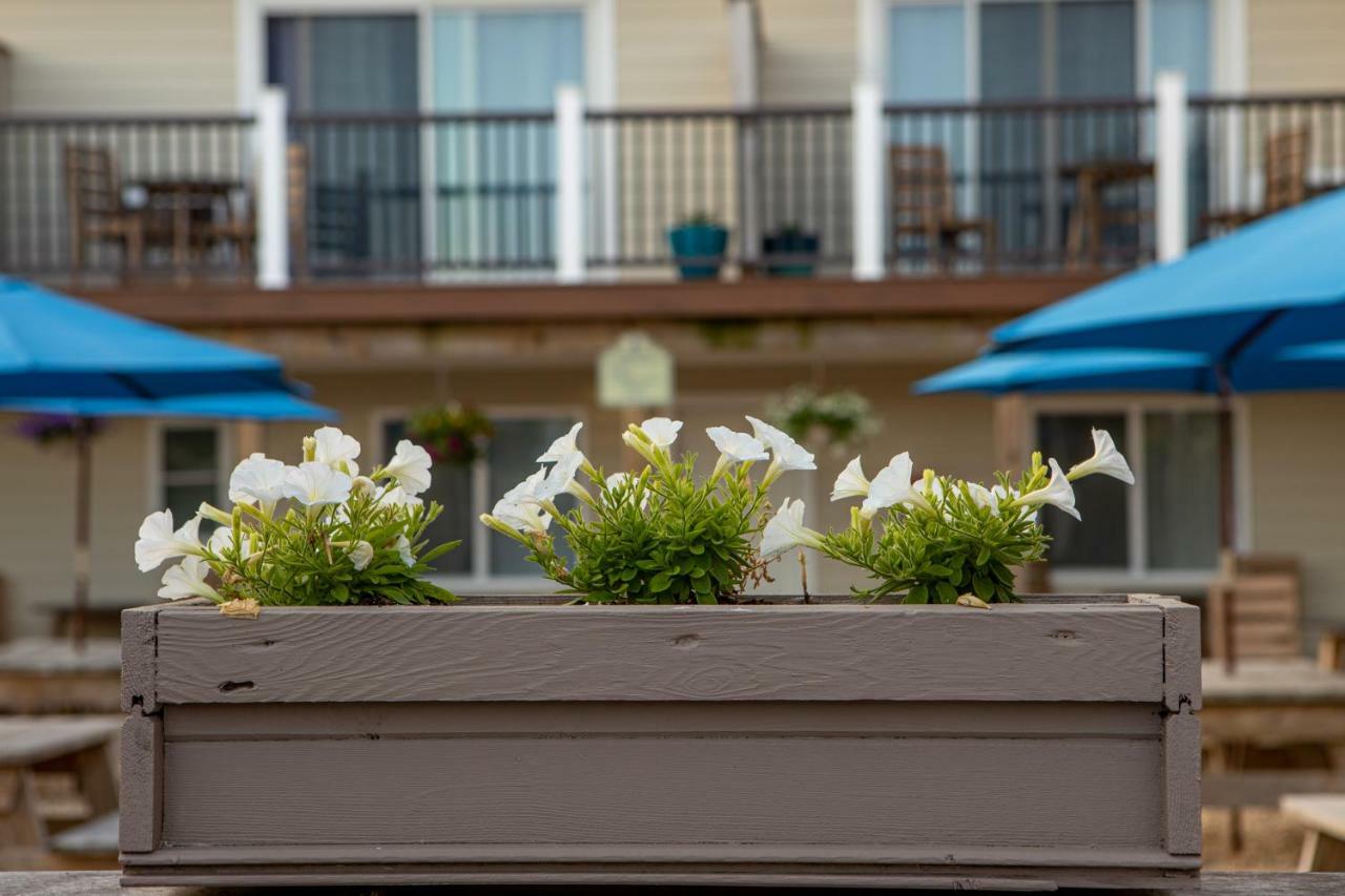 Aqualina Inn Montauk (Adults Only) מראה חיצוני תמונה